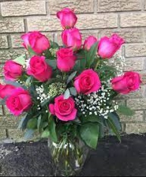  Dozen Hot Pink Roses 