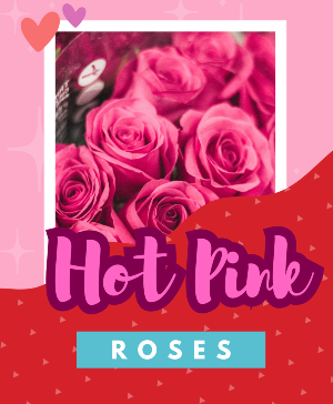 Hot Pink Roses Fresh Vase Arrangement