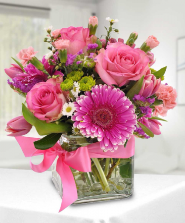Hot Pink Surprise 