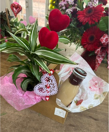 House Plant & Coffee to-go box in Klamath Falls, OR | Yarrow in Bloom