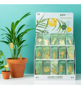Houseplant Decor 