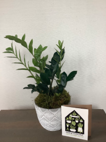 Housewarming Houseplant Set Gift Basket
