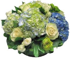 Hues of blue Cut Flowers