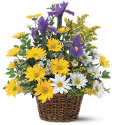 Hugs For You Basket Arrangement