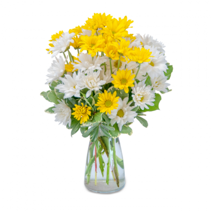 Hugs & Smiles Daisy Bouquet Arrangement