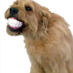 Humunga Chomp - Teeth 