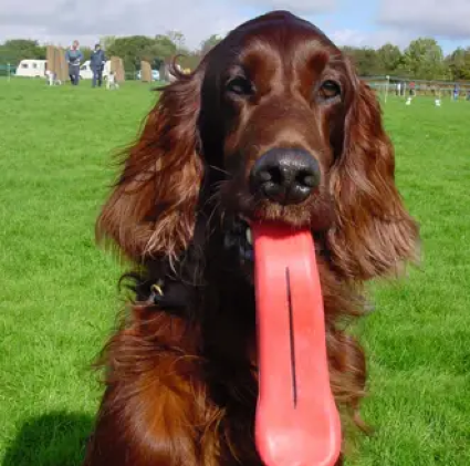 Humunga Chomp - Tongue 