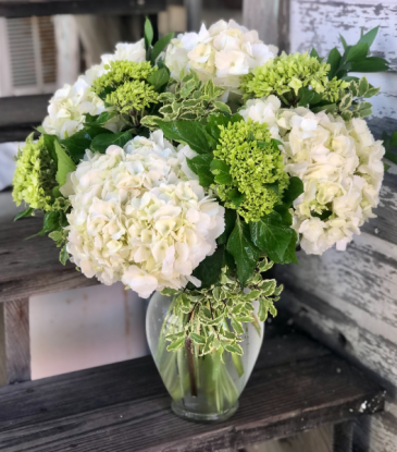 Hydrangea Beautiful Floral Arrangement in Key West, FL | Petals & Vines