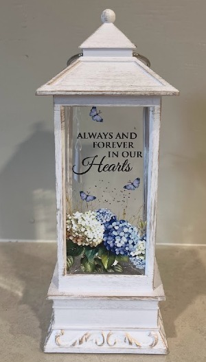 Hydrangea Globe  Sympathy Globe