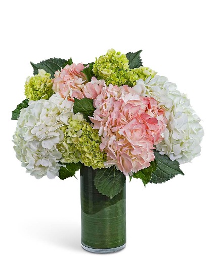 Hydrangea Glow Flower Arrangement