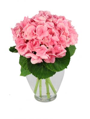 Hydrangea Happiness Bouquet