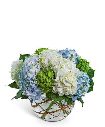 Hydrangea Heaven Flower Arrangement