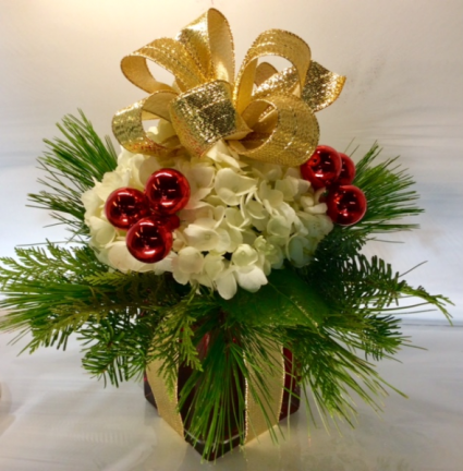C18 Hydrangea Holiday 