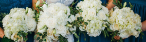 Hydrangea Inspiration  Wedding Party 