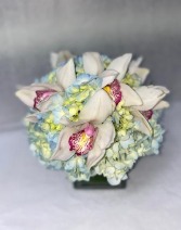hydrangea & orchid CENTERPIECE