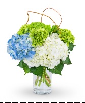Hydrangea Perfection Flower Arrangement 