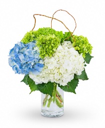 Hydrangea Perfection Flower Arrangement 