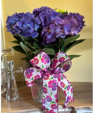 Pink Hydrangea Plant