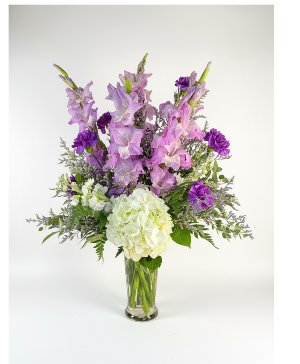 Hydrangea purple  