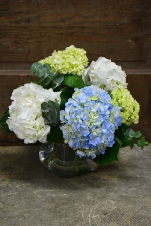 Hydrangea Skies Vase Arrangment in Bozeman, MT | BOUQUETS AND MORE
