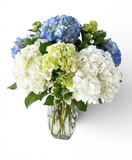Hydrangea Vase  
