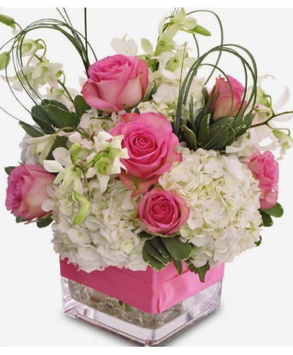 Hydrangeas and Ribbons 