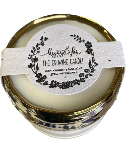 Hygglelight Growing Candle