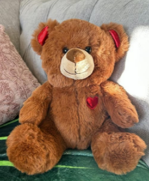 I Can Bearly ? Contain My Love For You Gift