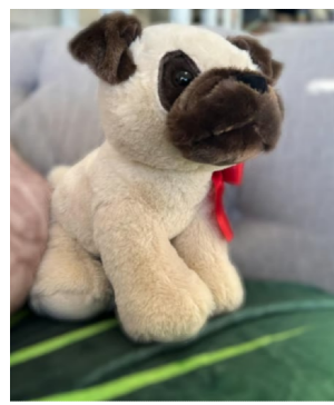 I Pugging Love You Gift