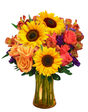 Sunflower Celebration 