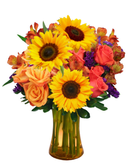 Sunflower Celebration 