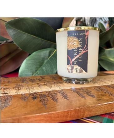 Illume Midnight Pumpkin Signature Glass Candle  in Janesville, WI | Floral Expressions