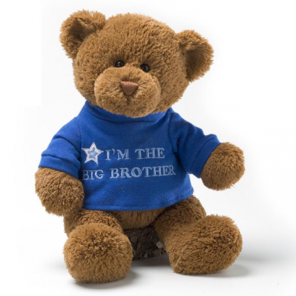 I'm The Big Brother Teddy Bear Stuffed Animal