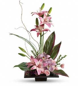 Imagination Blooms Arrangement