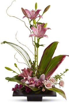 Imagination Blooms Flowers Birthday for everyone