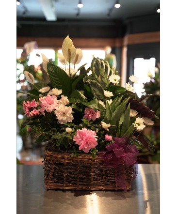 Impressive European Garden With Fresh Cut Flowers in South Milwaukee, WI | PARKWAY FLORAL INC.