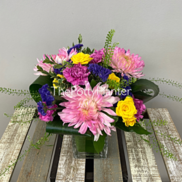 In Full Bloom  in Etobicoke, ON | THE POTTY PLANTER FLORIST