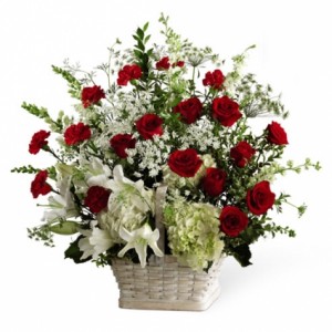 In Loving Memory 
