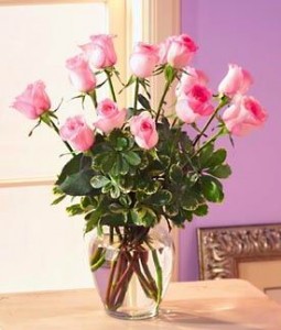 Pink Dozen $110.95 $115.95