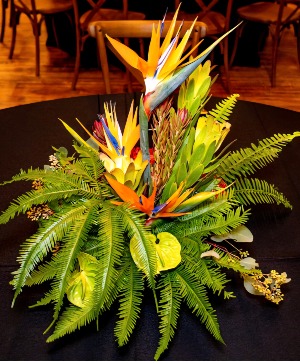 In the Tropics Tropical Arrangement