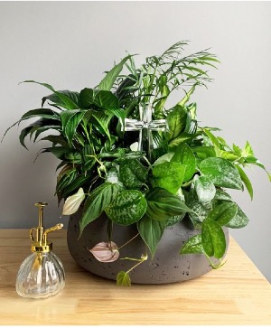 Indoor Dish Garden With Crystal Cross Dish Garden