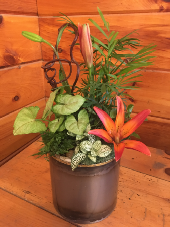 Indoor Garden Planter Dishgarden