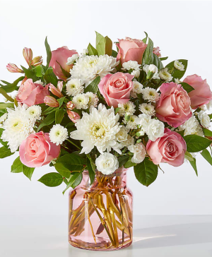 Love & Romance - Jasmine Gardens - Haltom City, TX