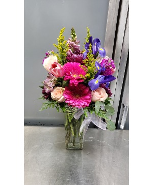 Iris 70.95 78.95