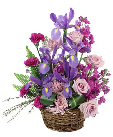 Iris Affection Basket Arrangement in Marmaduke, AR | Choco Taco Florist ***TEST SHOP****