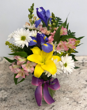 Iris Spring Daisy Fresh Arrangement