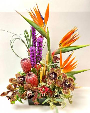 Island Dreaming Arrangement