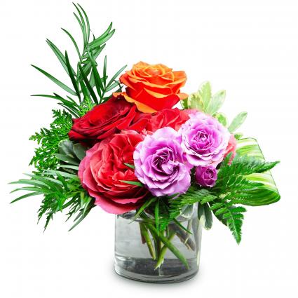 Island Dreams Arrangement