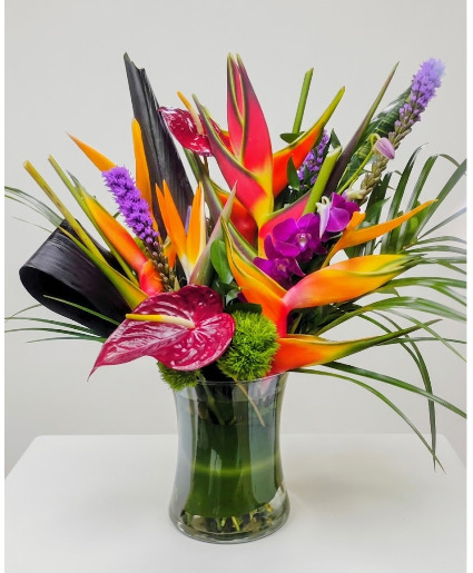 Island Horizon 