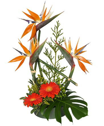 Island-Influenced Arrangement in Fort Lauderdale, FL | Flowers Galore